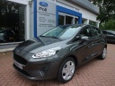 ford-fiesta-trend-11-85pk-incl-3000-voorraadvoordeel