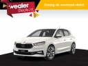 skoda-fabia-business-edition-10-tsi-95pk-5-versn-hand