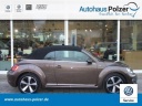 volkswagen-beetle