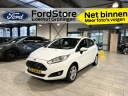 ford-fiesta-ecoboost-125-pk-titanium-stoelverw-navi-voorruitverw-pdc-distr-riem-vv-bluetooth-led-dagrijver