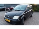 fiat-panda-11-young