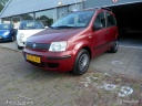 fiat-panda-11-young
