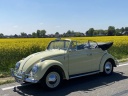 volkswagen-kever-1200-cabriolet-volledig-gerestaureerd