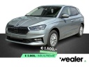 skoda-fabia-selection-10-tsi-95-pk-getitnt-glas-16-lichtmetalen-velgen-apple-carplay-android-auto