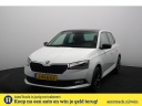 skoda-fabia-10-tsi-edition-panoramadak-led-camera-navigatie-trekhaak-climatronic